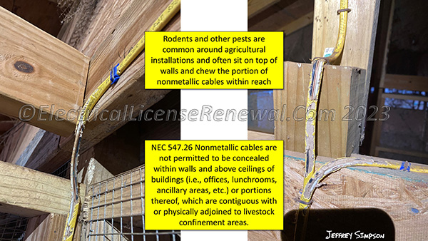 Even exposed nonmetallic cable installations are easy targets for hungry rodents in non-agricultural buildings adjacent to other buildings used to confine livestock and under the purview of Article 547.