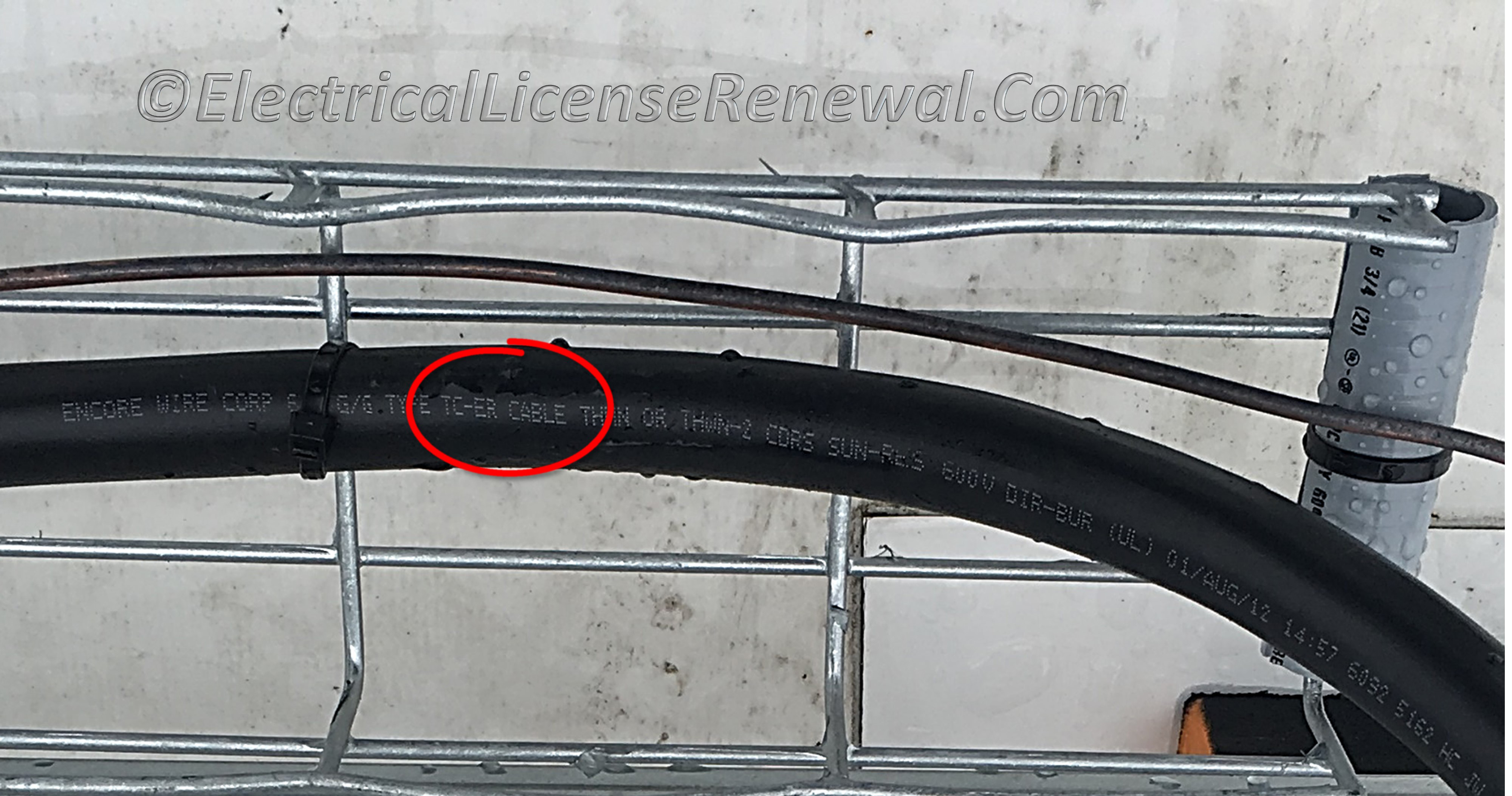 690.31(D) Multiconductor Cable.